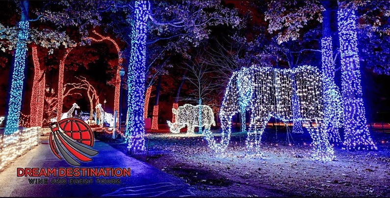 2022 Holiday Light Tour! (Campus Martius, Detroit Zoo, Downtown Rochester)